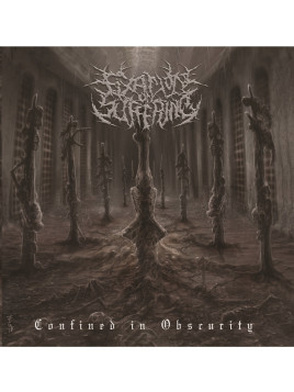 Fixation on Suffering -...